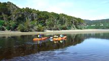 Kayak Hire Papatowai - The Catlins - 1 or 2 Hours